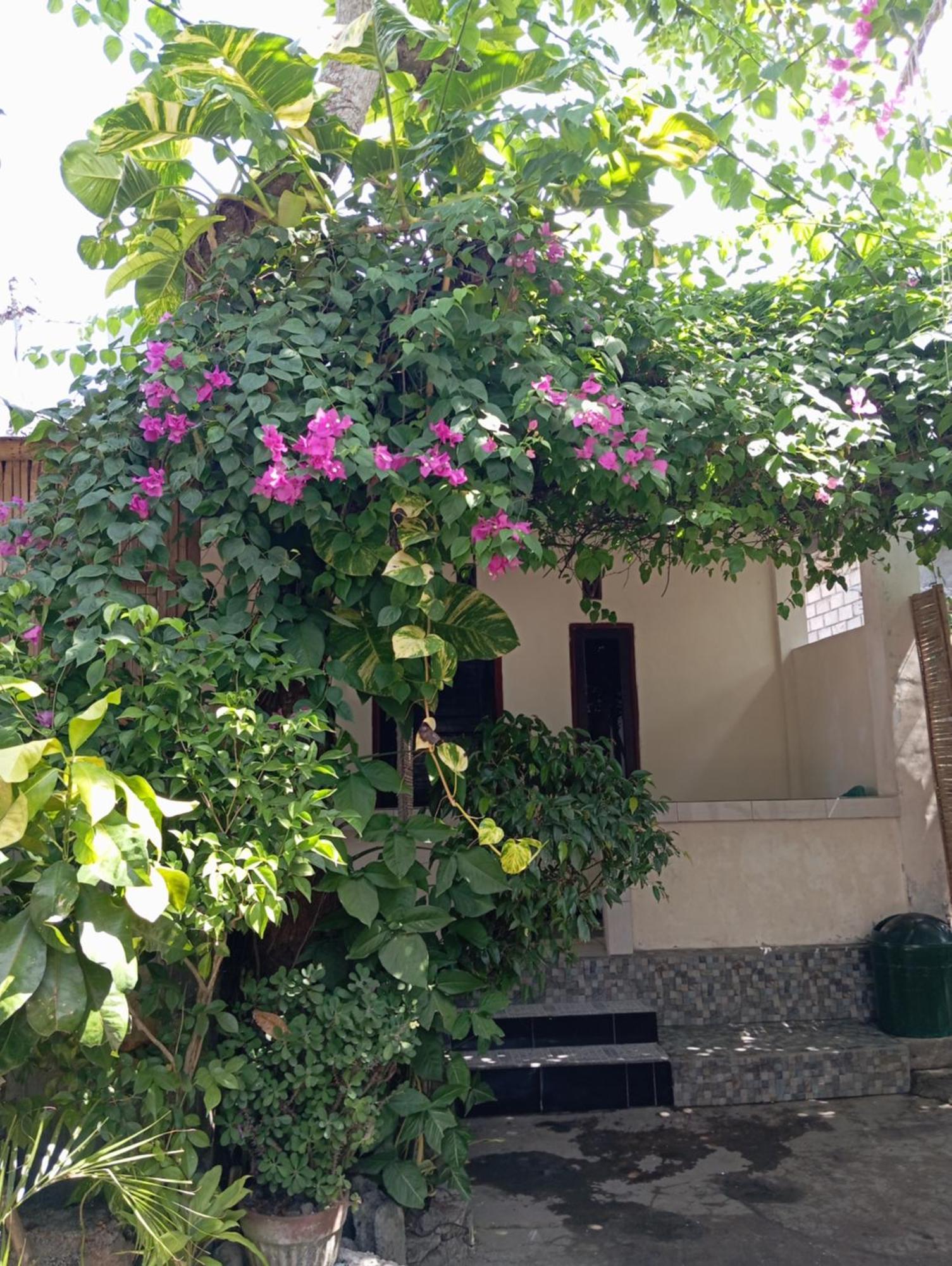 Pedek Homestay Praya Exterior photo
