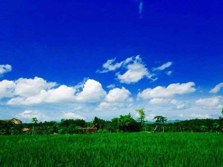 Pedek Homestay Praya Exterior photo